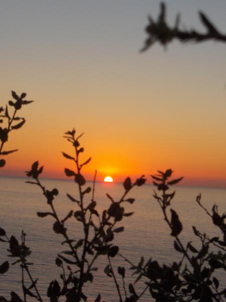 Coucher de soleil